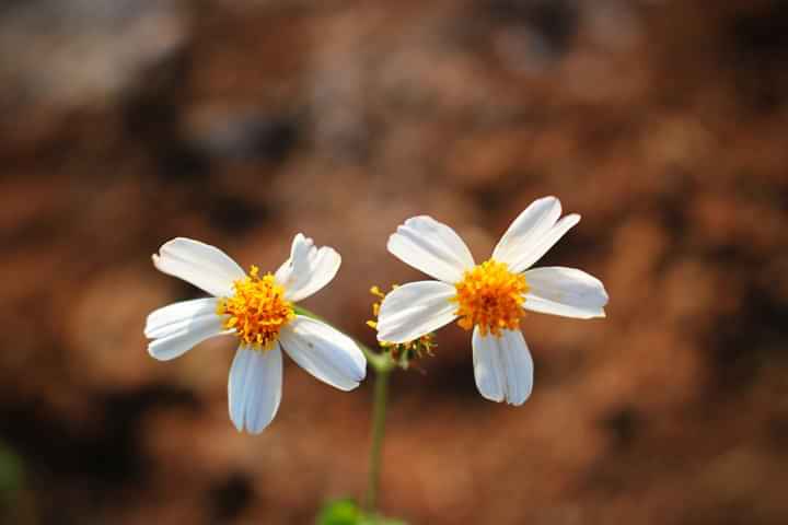 ღ✿◠‿◠✿ღ