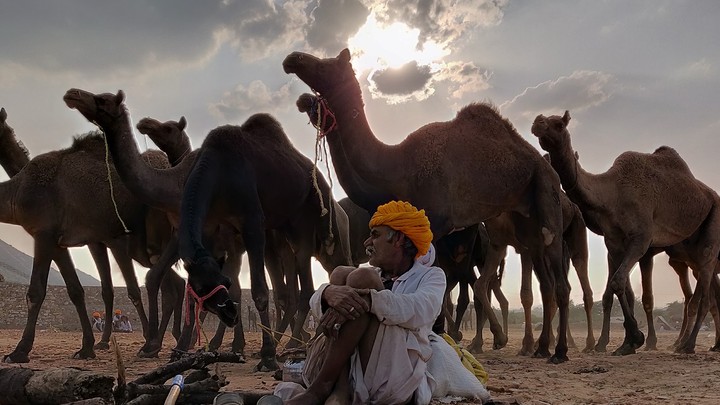 Pushkar Fair 2018