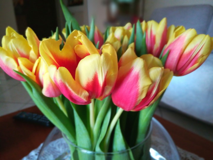 tulips