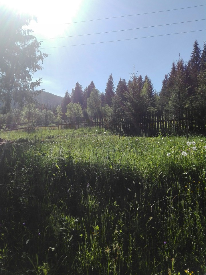 nature