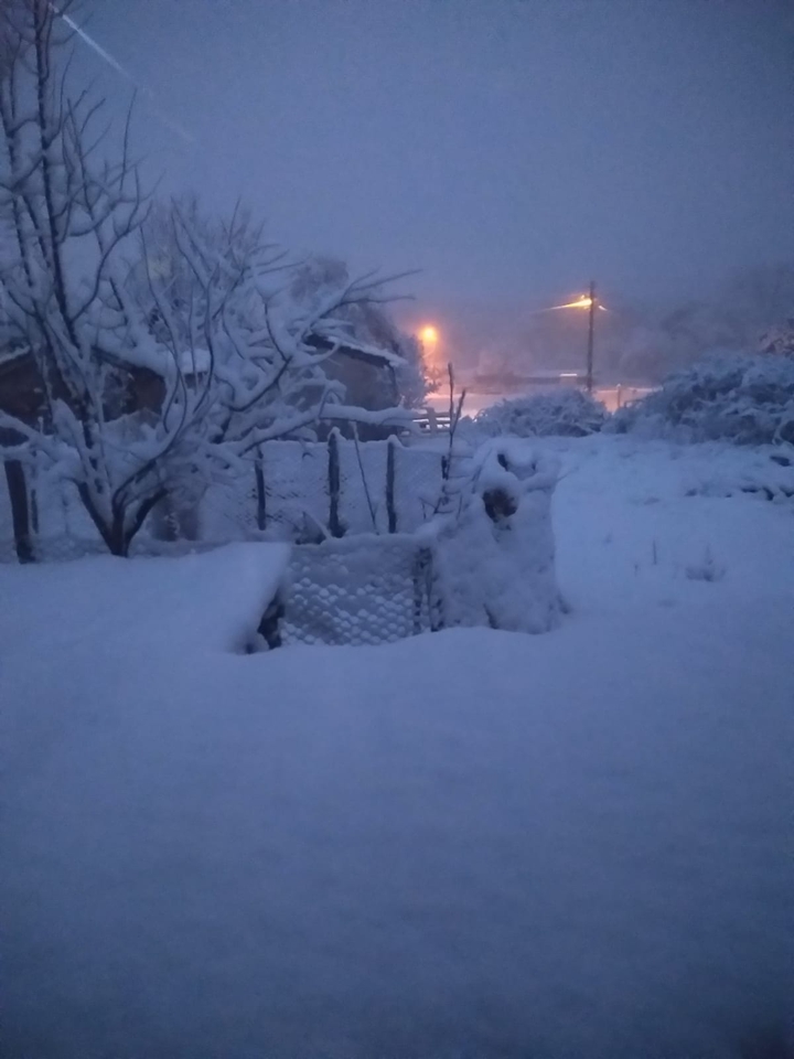 Winter