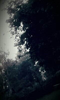 Dark