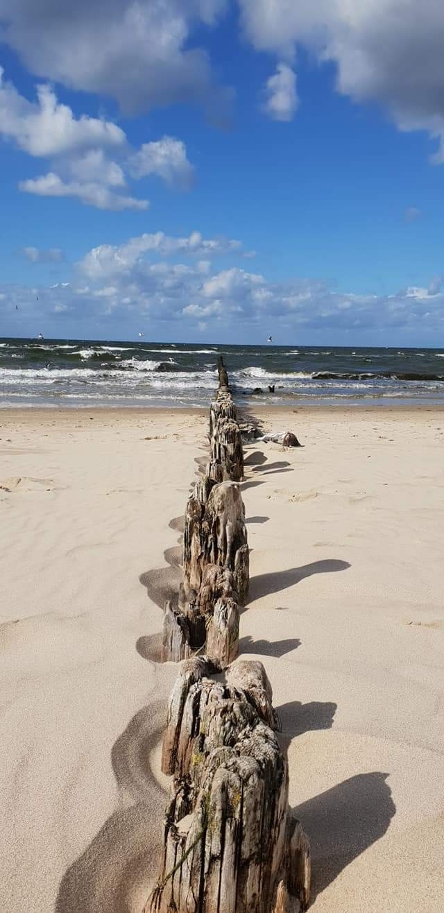 sea