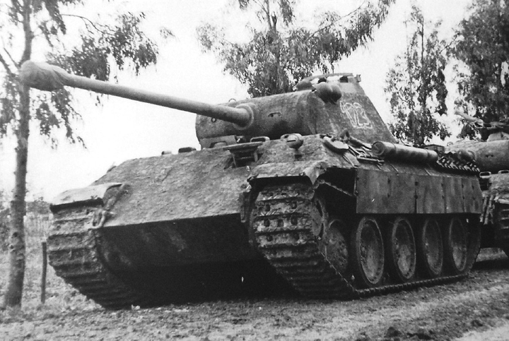 Panther I