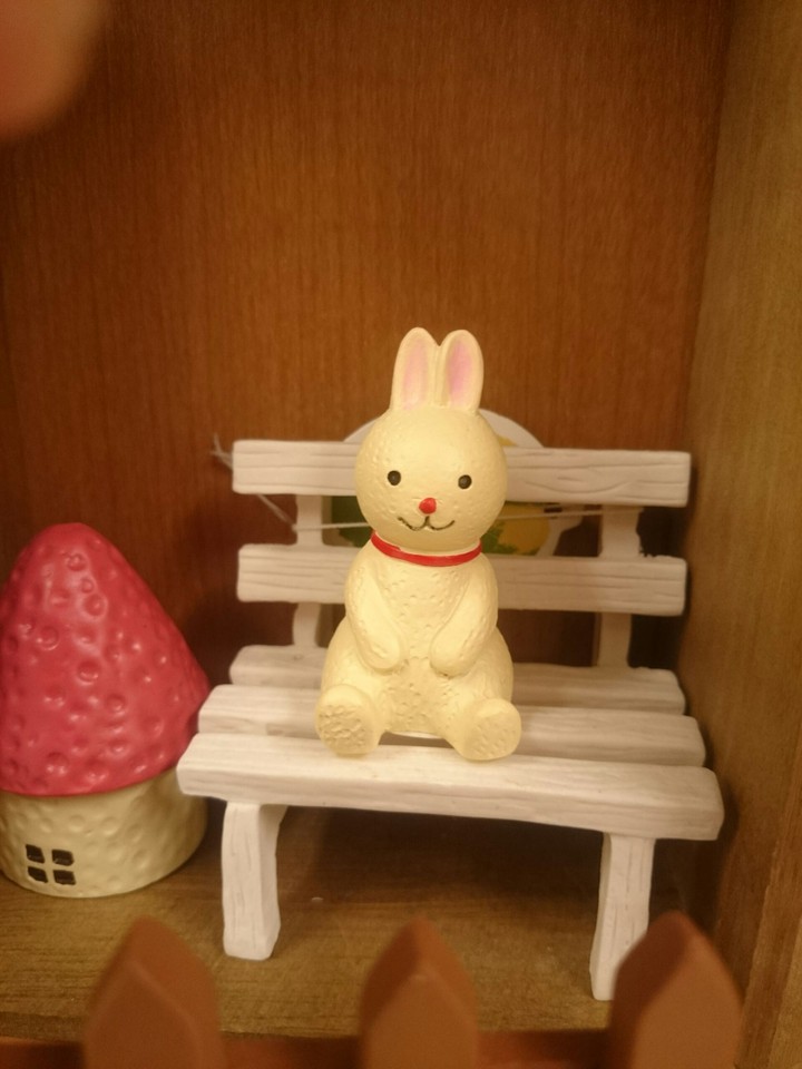 rabbit home alone