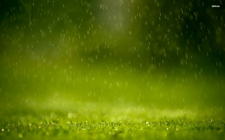 rainy