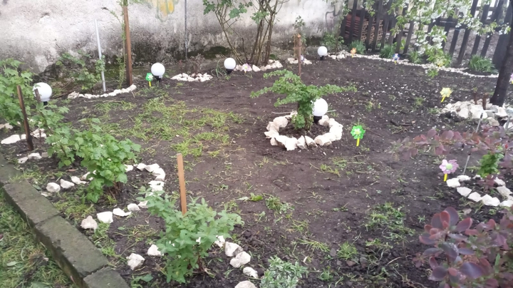 grădina