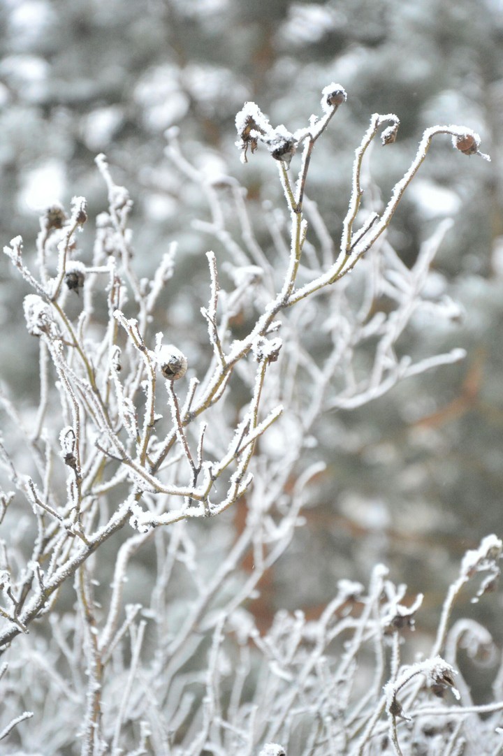 freezing