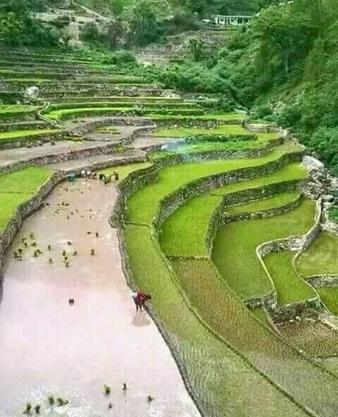 Uttrakhand