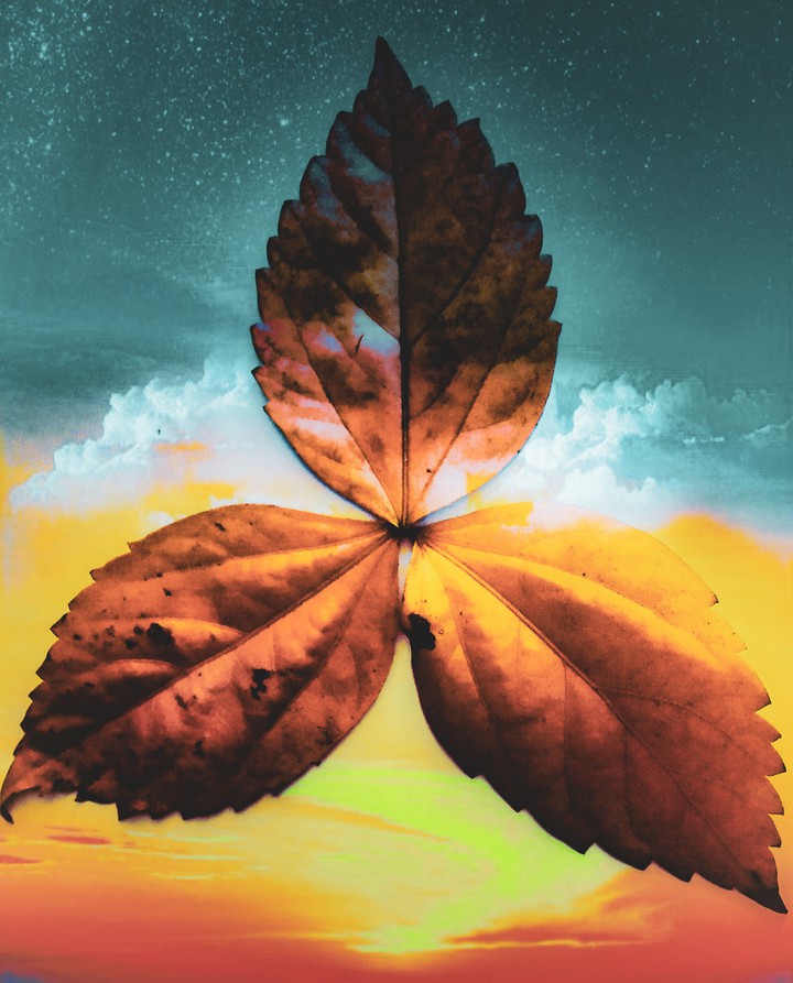 autumn