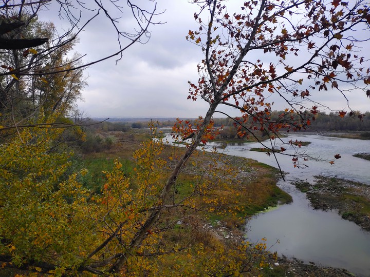 fall