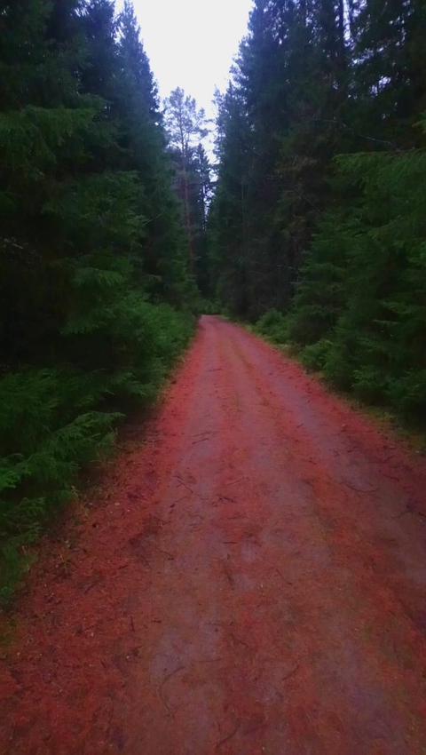 Red road