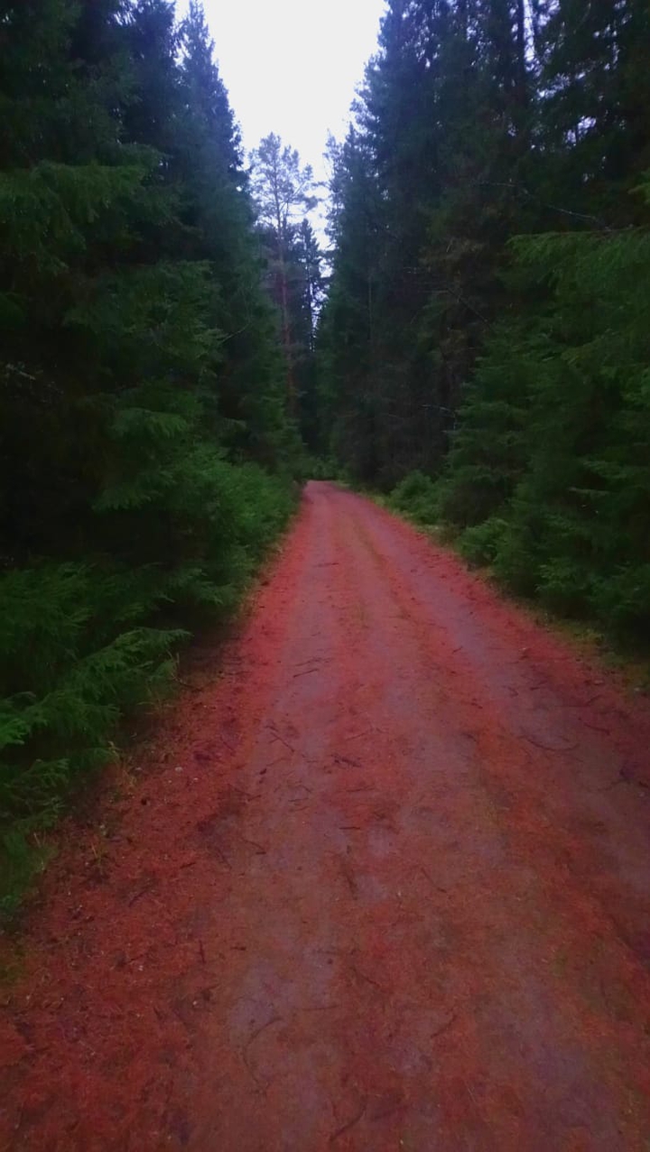 Red road
