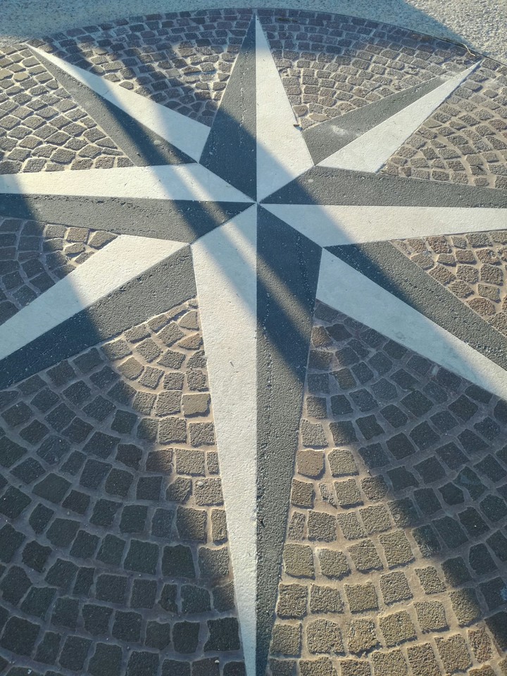 rosa dei venti