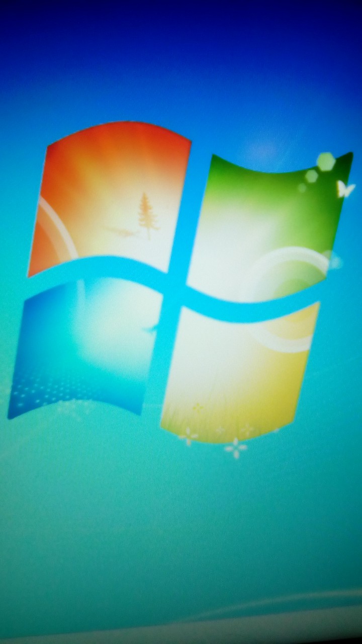 windows