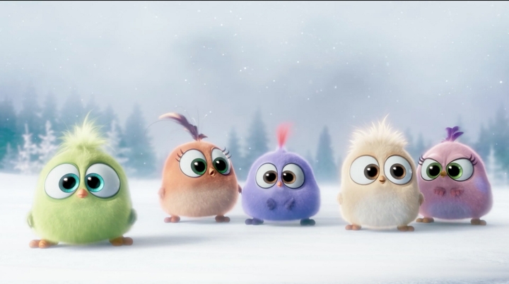 baby_birds