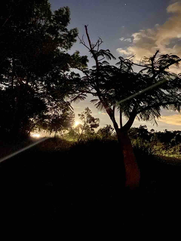 natureza ao anoitecer