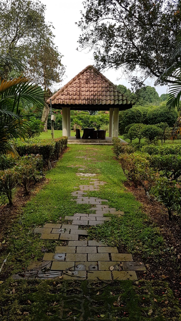 Walk in a Garden