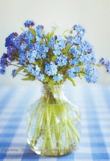 Flover