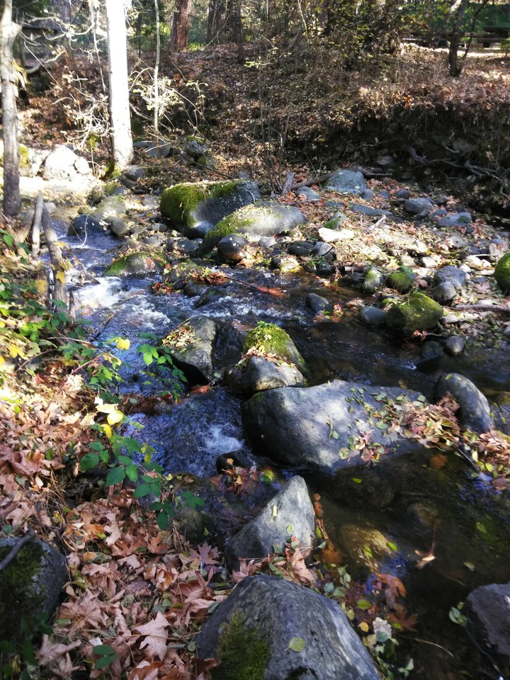 Creek