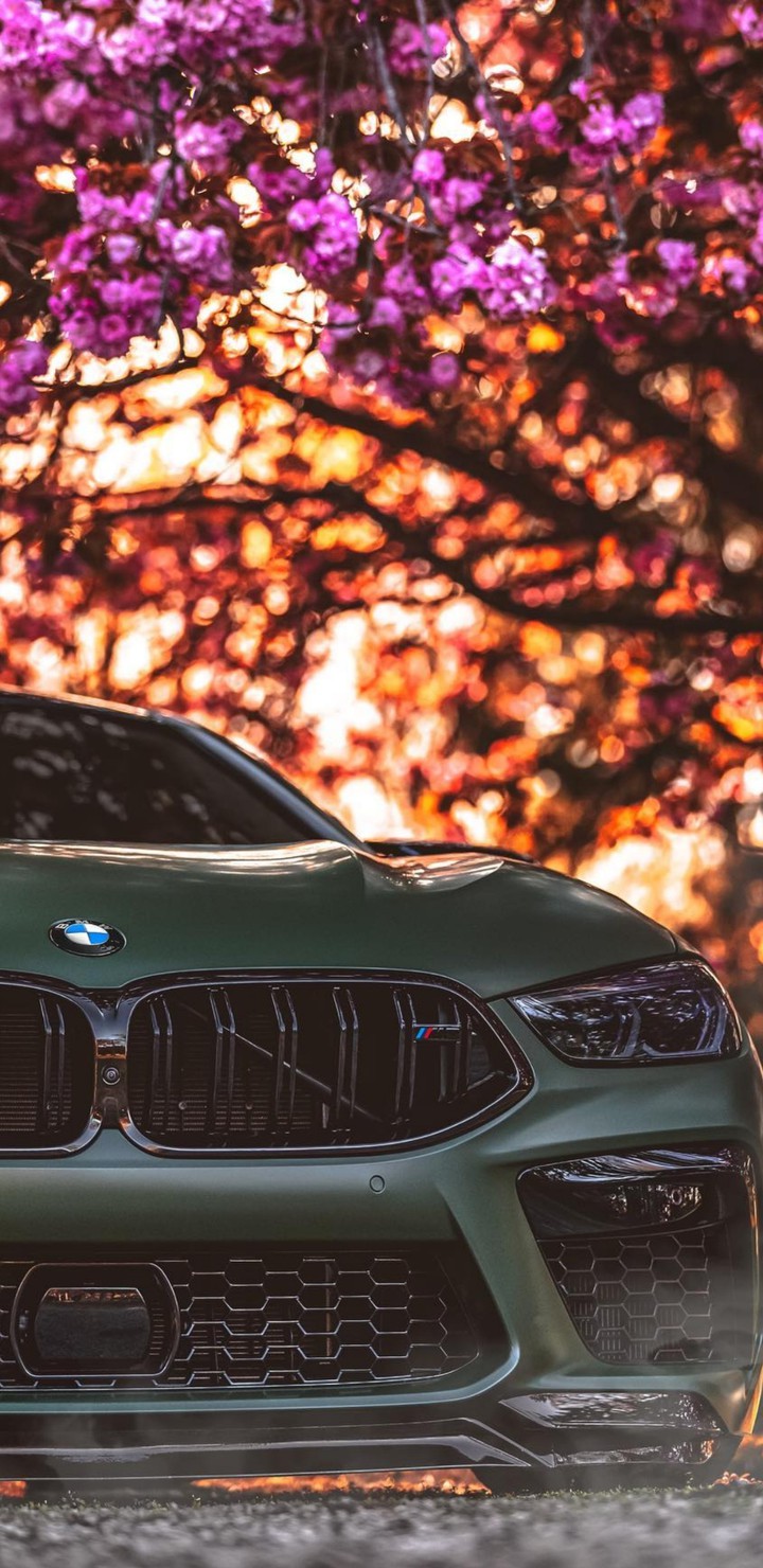 BMW m8
