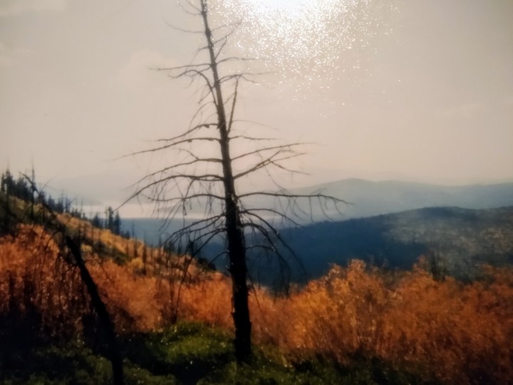 Verdi Peak
