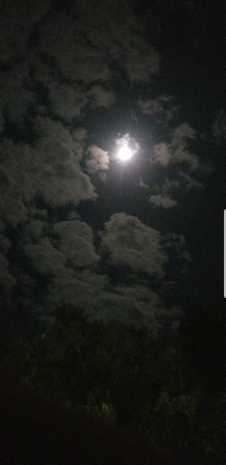 ✨✨✨✨✨