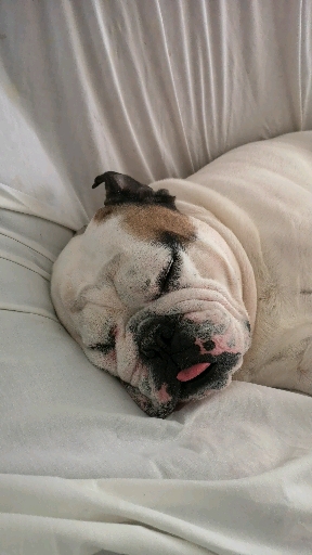 Oliver ❤️