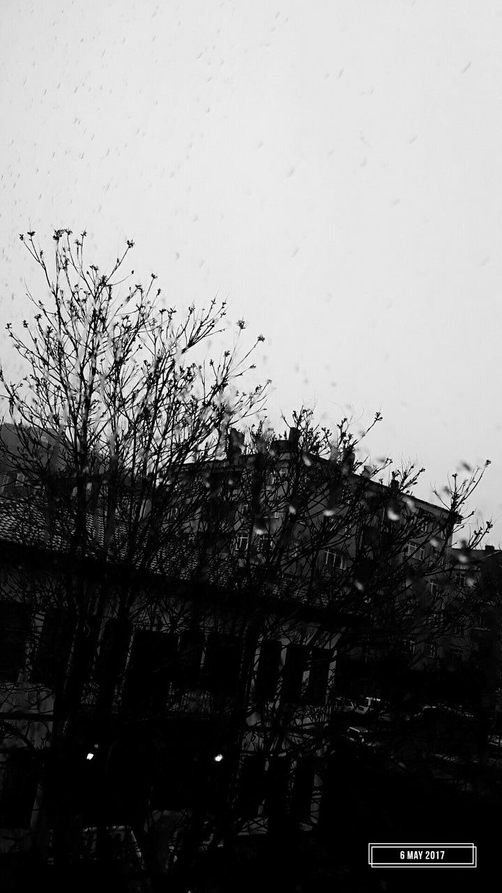 rain