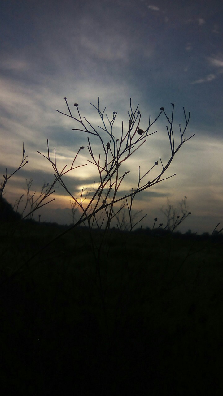 dark