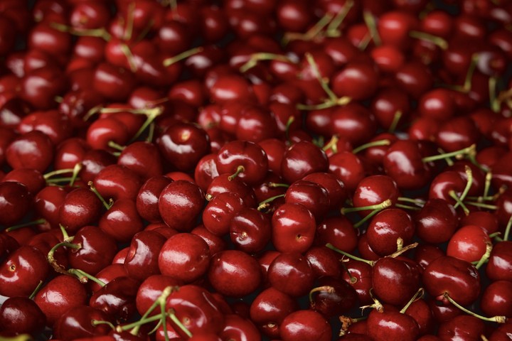 fruits