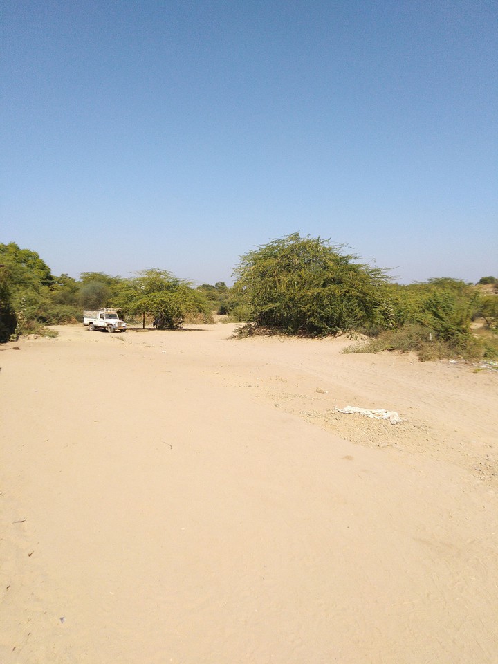 Desert