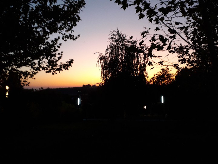 Night