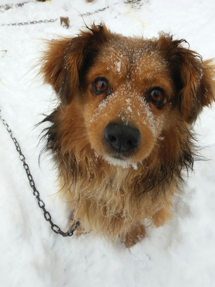 Meda again❄