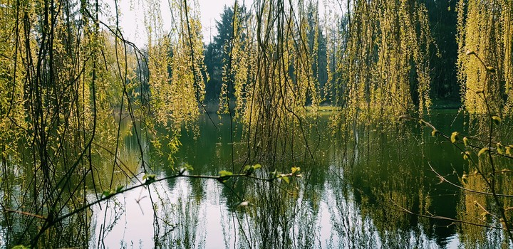 Nature/Water