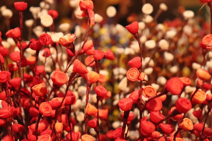 flowers and thousand colours