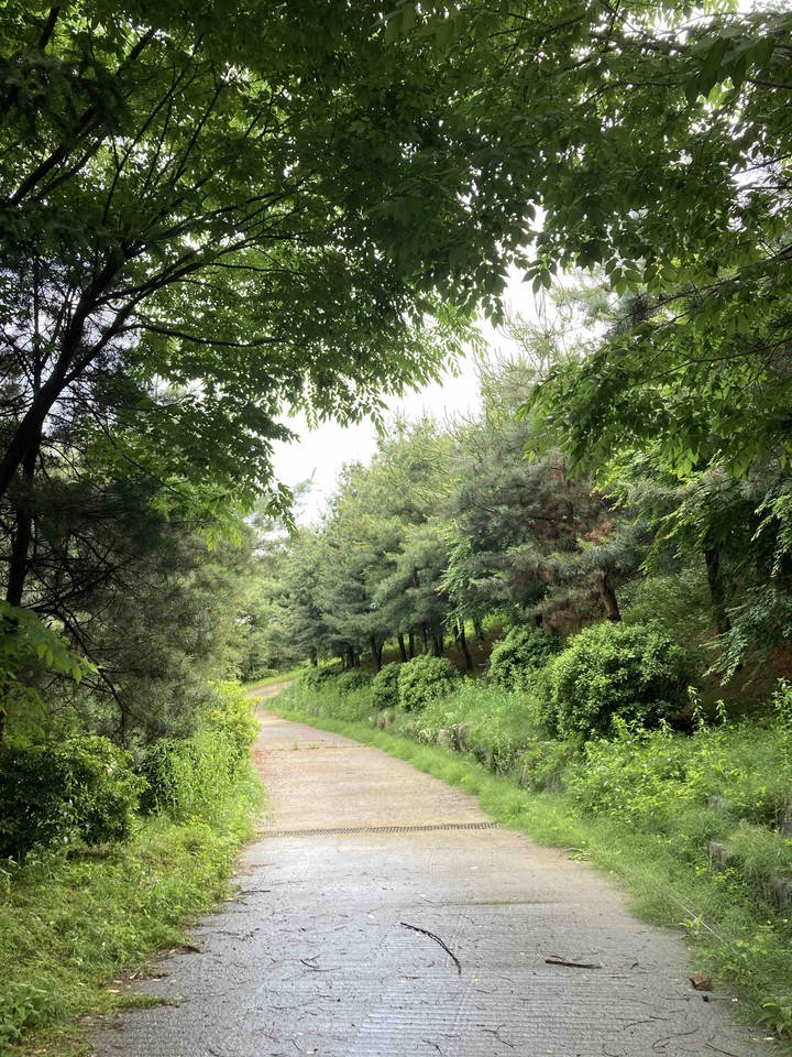 숲길