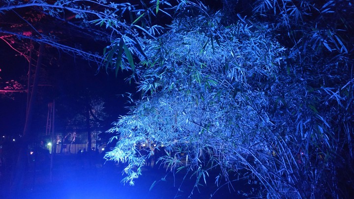 blue light