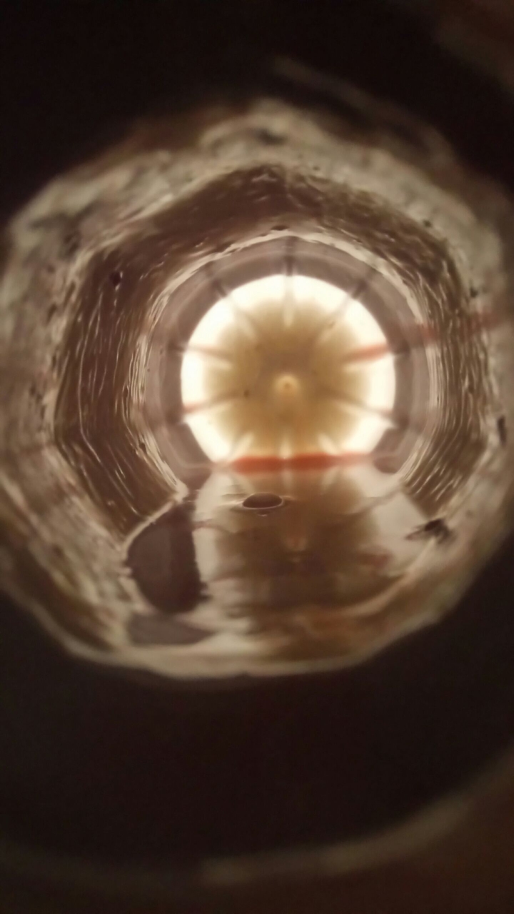 inside of a bottle