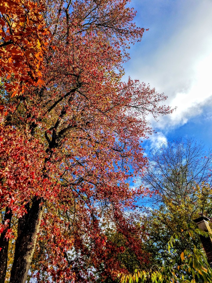 Salem Oregon