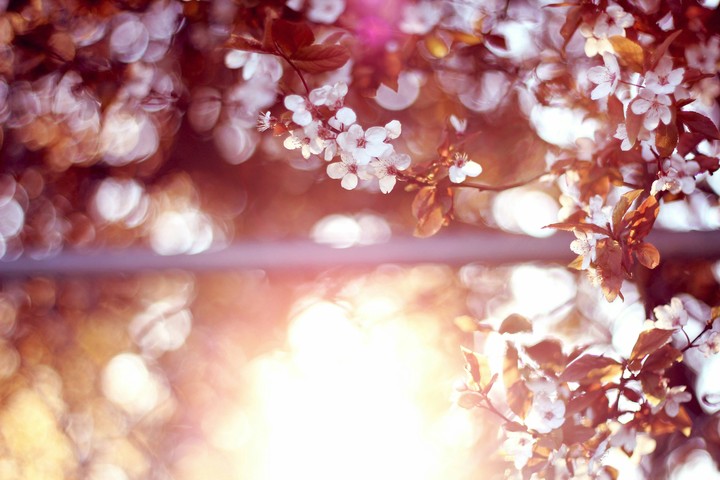 Spring Thing v2
