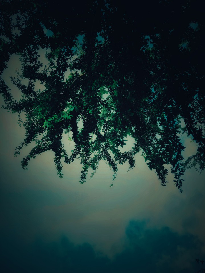 sky