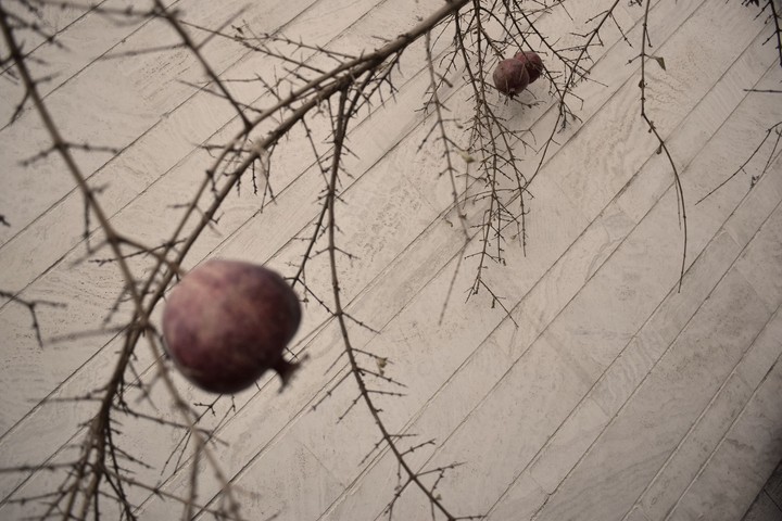 winter vs pomegranate