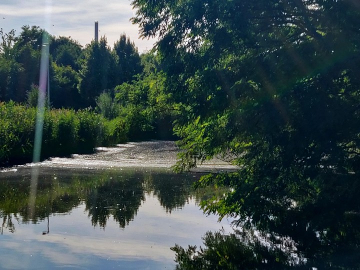 Summer light in water