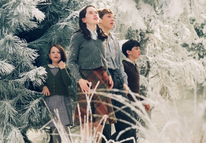 The Chronicles of Narnia:The Lion,the Witch and the Wardrobe