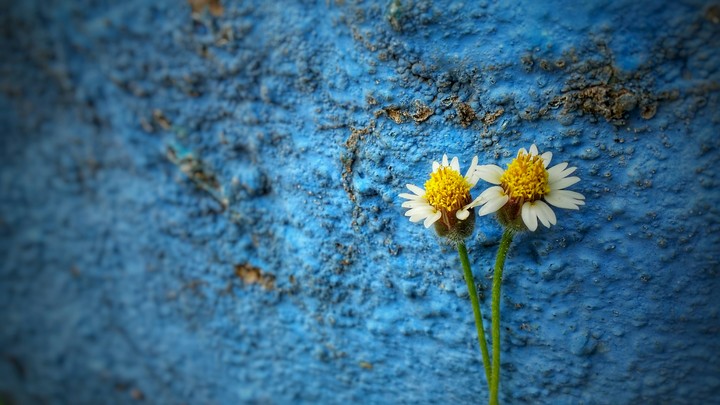 Today  Mobile click  
Samsung E7