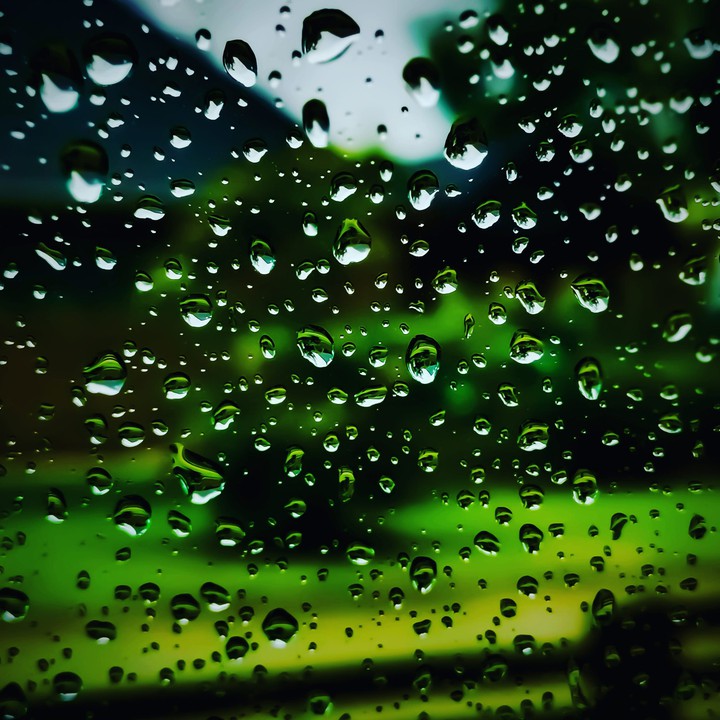 Rain