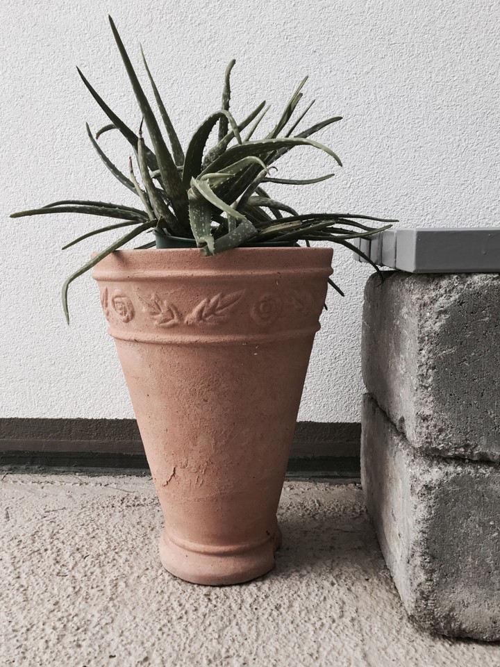 ceramic beauty
