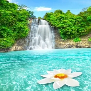 Water