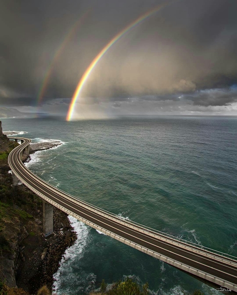 All the love you at Rainbow Bridge